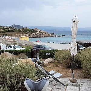 B&B Mistral
